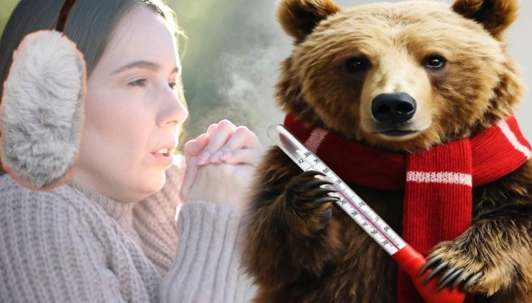 мечка студ - МЕЧКАТА ВЕЧЕ ИГРАЕ В ДВОРА НА СЪСЕДА: Сърбите тракат със зъбки при -4!