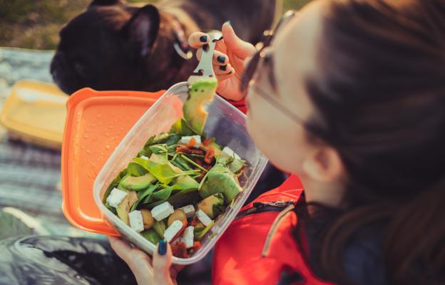 куче сирене