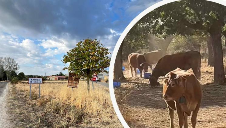 агро - Агро Телеграф: Стопаните вадят вода от половин км дълбочина