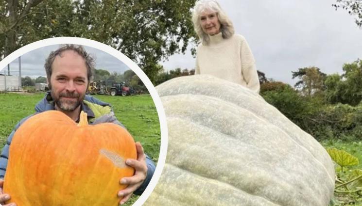 тикви - Агро Телеграф: Майка на фермер отгледа 368 кила тиква