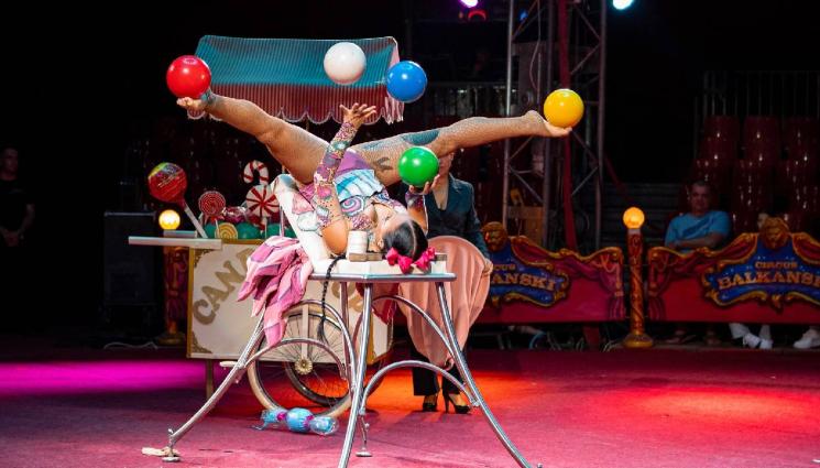 цирк Балкански - Във Велико Търново: Лунапарк прецака цирк „Балкански“
