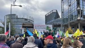 Земеделци протестират пред Европейския парламент