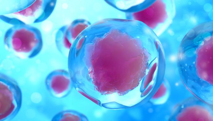 клетки - ПРОБИВ: Учени разкриха дългогодишна загадка!