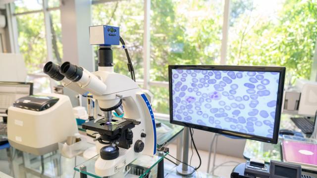 Учени разкриха дългогодишна загадка в биологията – как клетките остават здрави