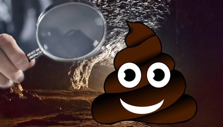 аке с лупа - НАПРЕД, НАУКАТА Е СЛЪНЦЕ: Учени откриха детски акита на 1300 години, ровят в тях за информация! (СНИМКИ)