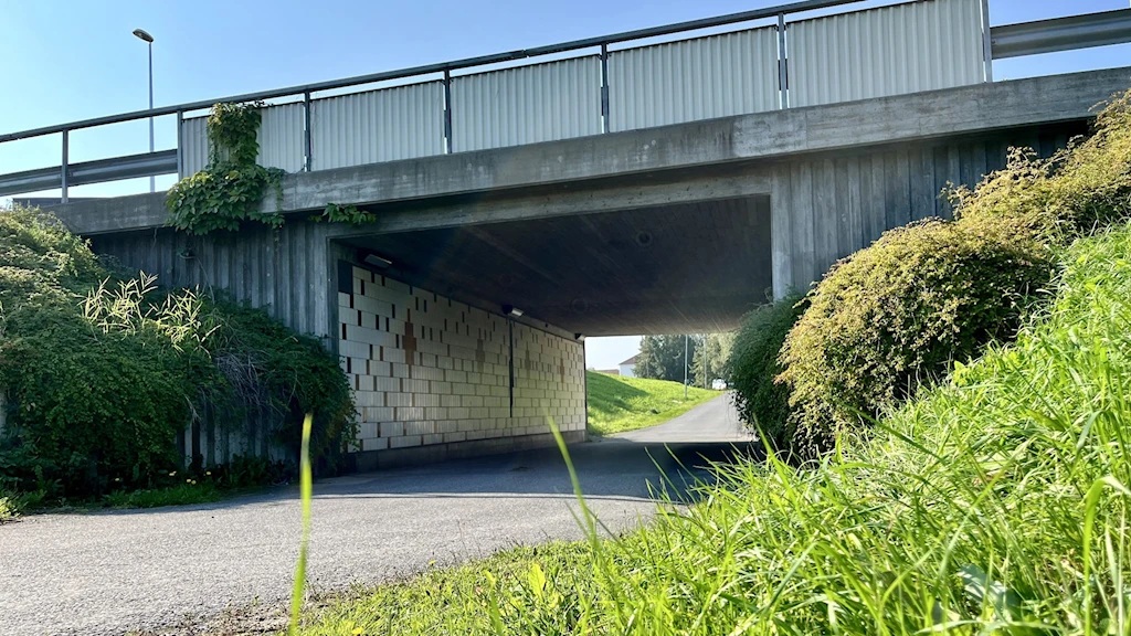 Язиед Мохамед Мея Оберг