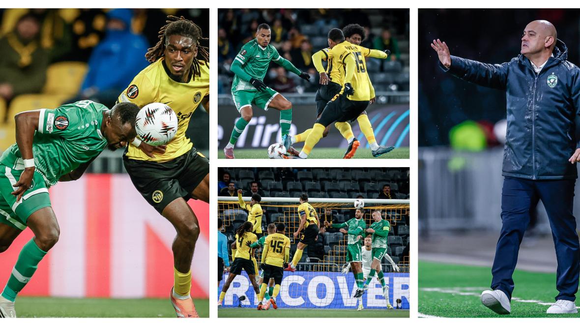 Лудогоец Йънг Бойс