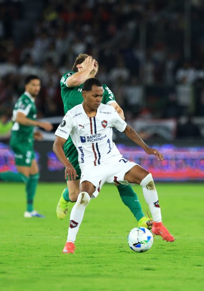 Лига де Кито Палмейрас1