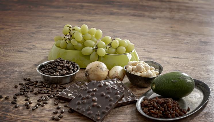 шоколад - ШОКОЛАД СЪС СМЪРТОНОСЕН ВКУС: Президент оцеля след опит за отравяне!