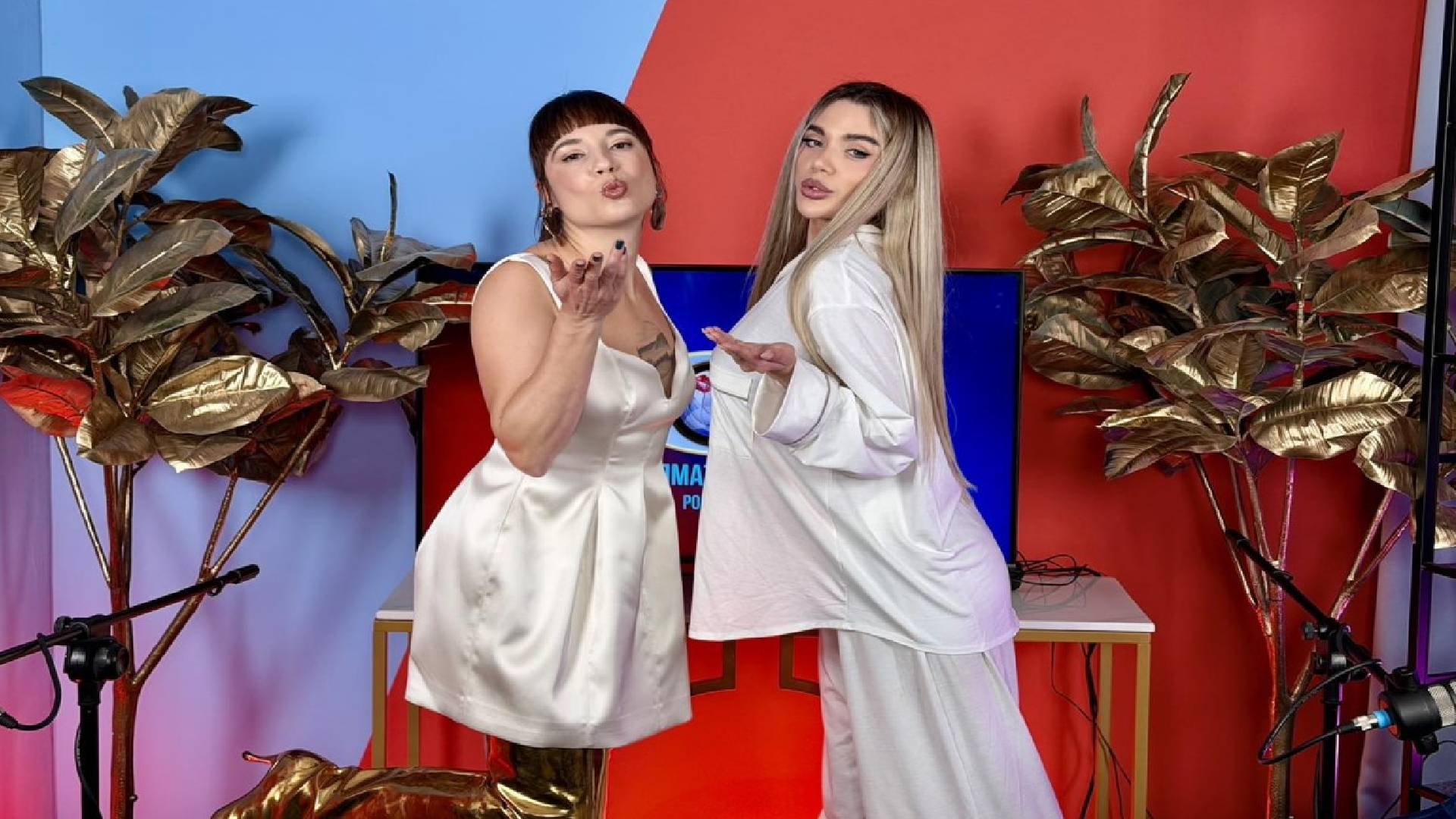 Мина