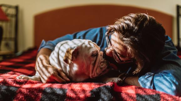 9 породи кучета, идеални за домошари