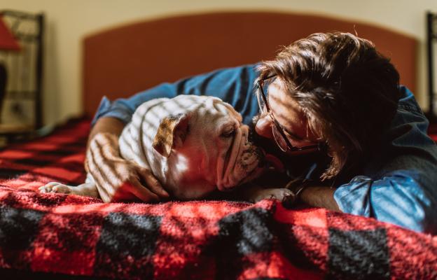 Английски булдог