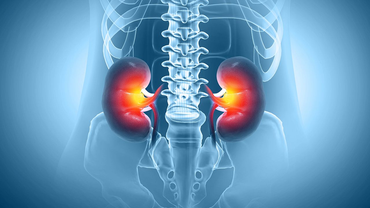 <p><strong>Страх &ndash; бъбреци</strong></p>

<p>Хроничният страх натоварва бъбреците, изчерпвайки енергийните ресурси и водейки до умора или надбъбречен дисбаланс. Той може също да допринесе за болки в долната част на гърба, проблеми с уринирането и липса на жизненост.</p>