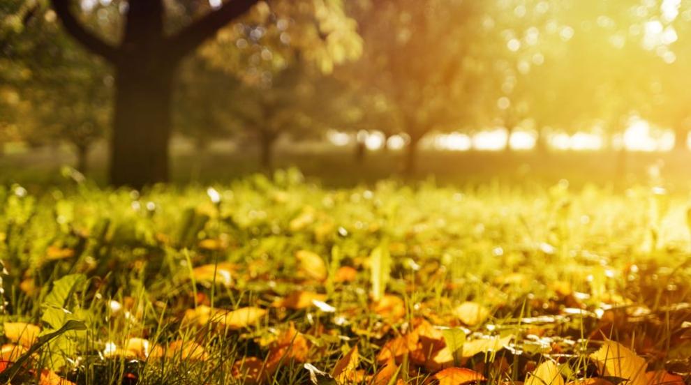 Bolgarijo je 2. novembra pričakal sončen jesenski dan s temperaturami do 23 stopinj Celzija