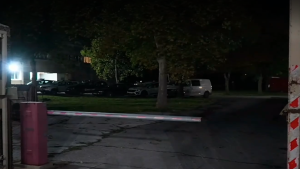 митници Русе