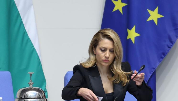 Рая Назарян - Рая Назарян е новият председател на Народното събрание