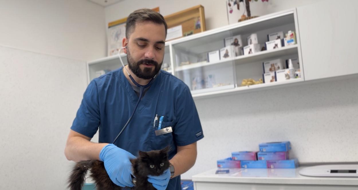 доктор Пламен Кьосев