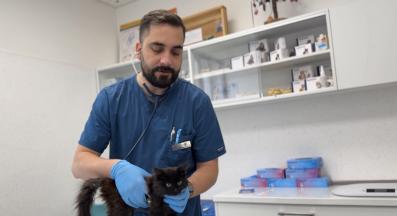 доктор Пламен Кьосев