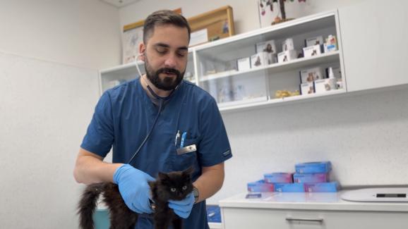 Да обичаш с грижа – д-р Пламен Кьосев за връзката между стопанина и неговия любимец