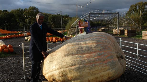 Над 1200 кг тежи тиквата-рекордьор на Гинес