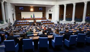 <p>Сложиха макет на Пеевски в Народното събрание</p>