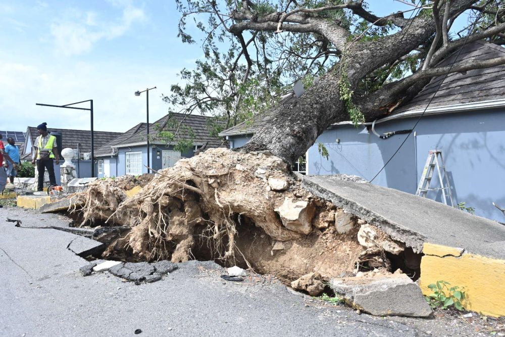 Мощният ураган Мелиса удари Ямайка