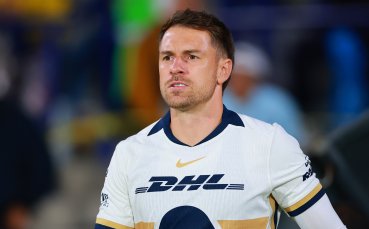 Бивш халф на Арсенал обяви награда от 20 000 долара за изгубеното си куче