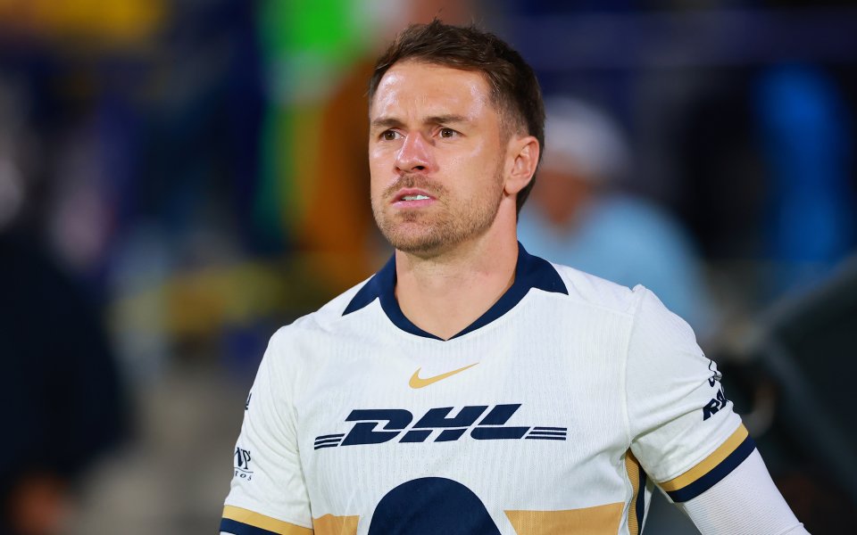 Бивш халф на Арсенал обяви награда от 20 000 долара за изгубеното си куче