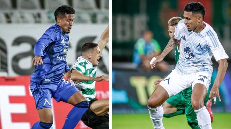 Рилдо Левски