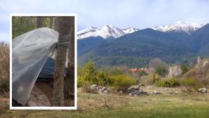 Пирин открит мъж