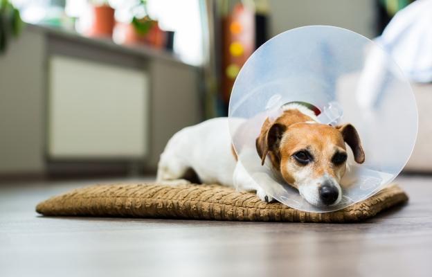 куче операци