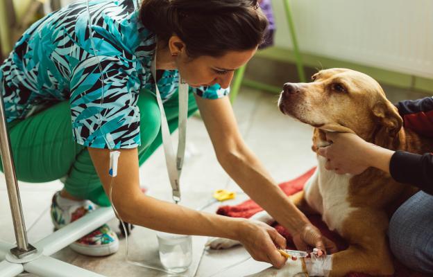 куче операци