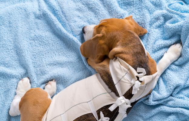 куче операци