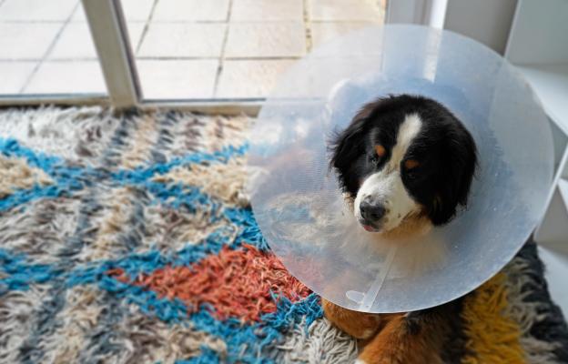 куче операци