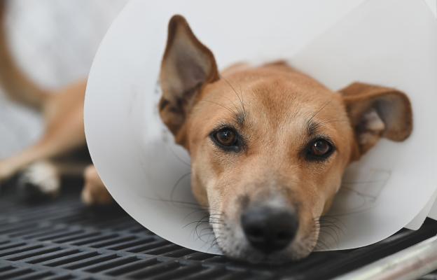 куче операци