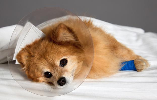 куче операци