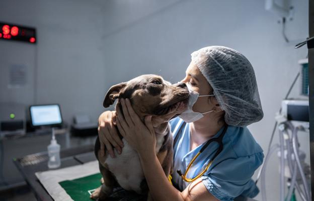 куче операци