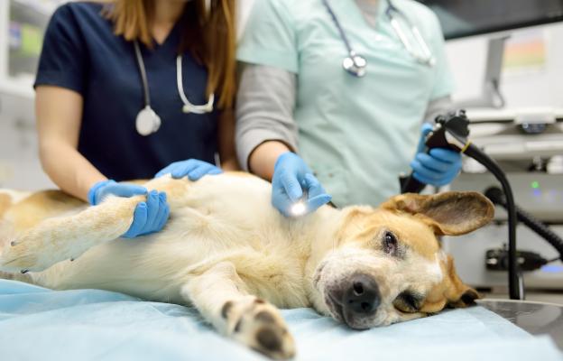 куче операци