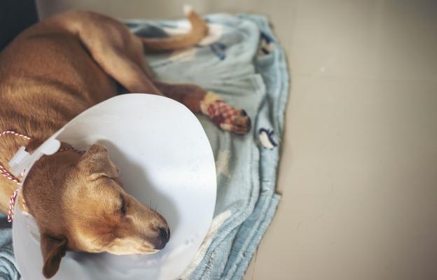 куче операци