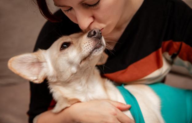 куче операци