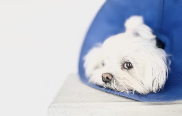 куче операци