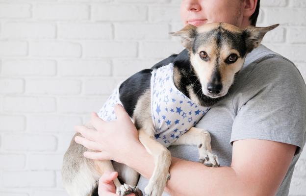 куче операци