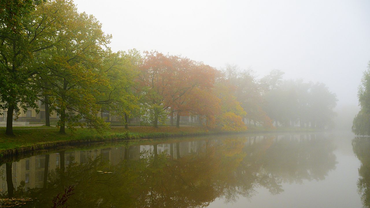Илюстративна снимка