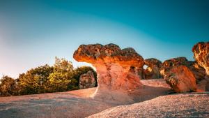 каменни гъби каменните гъби Кърджали