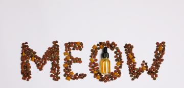 Здравето на котката: Какви витамини и минерали са важни за нея?