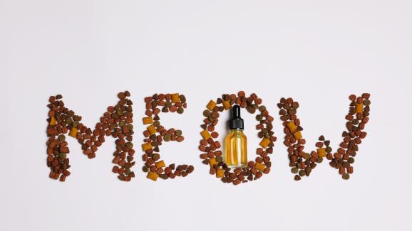 Здравето на котката: Какви витамини и минерали са важни за нея?