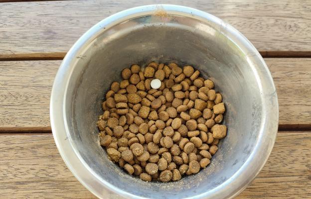 Котка получава добавки