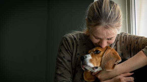 Могат ли кучетата да усетят кога някой ще умре
