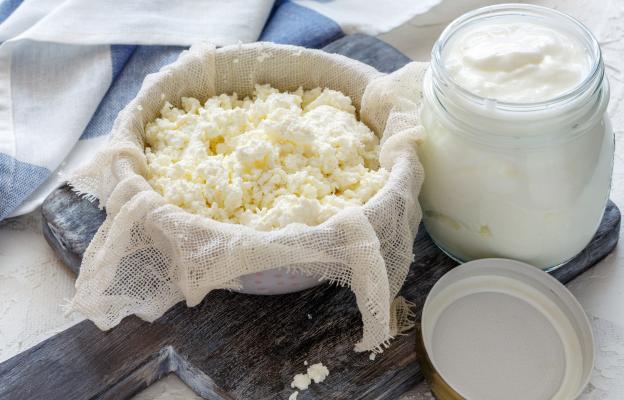 куче пробиотик