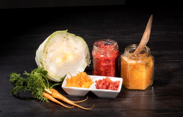 куче пробиотик